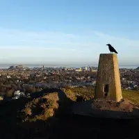 A crow sits on top of a hill top marker, with the city of Edinburgh in the distance.
